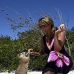hutia_desmarest_jar_v_1588_cub3530.jpg